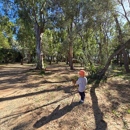 Village Camping Fico D'India Ovile la Marina Ngoại thất bức ảnh