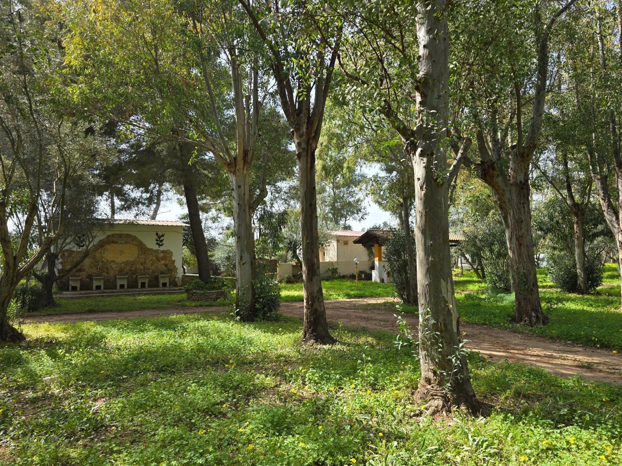 Village Camping Fico D'India Ovile la Marina Ngoại thất bức ảnh